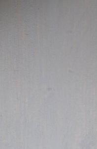 Tanne – silbergrau